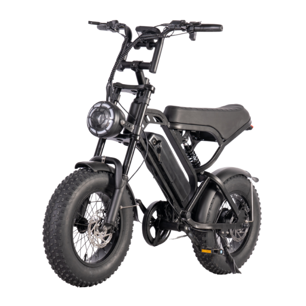 V20 Pro Mini Fatbike
